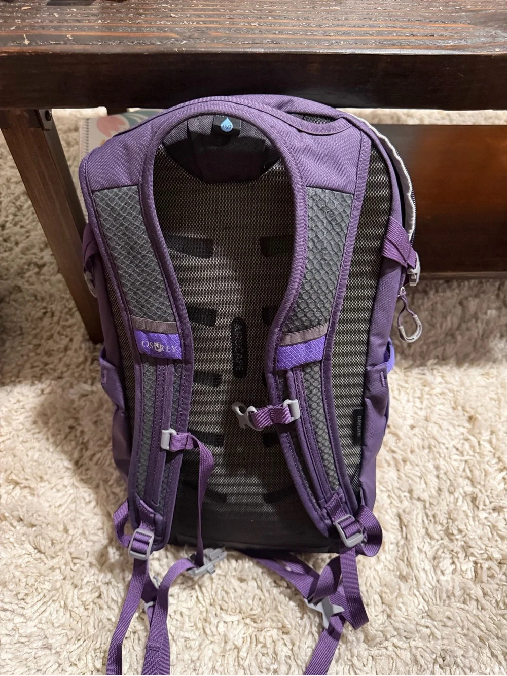 OSPREY Daylite Backpack in Bright Purple and Dark Purple
